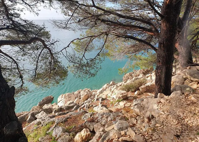 Hébergement de vacances Tiny Rubi In Oaza Mira